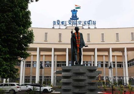 vidhansava