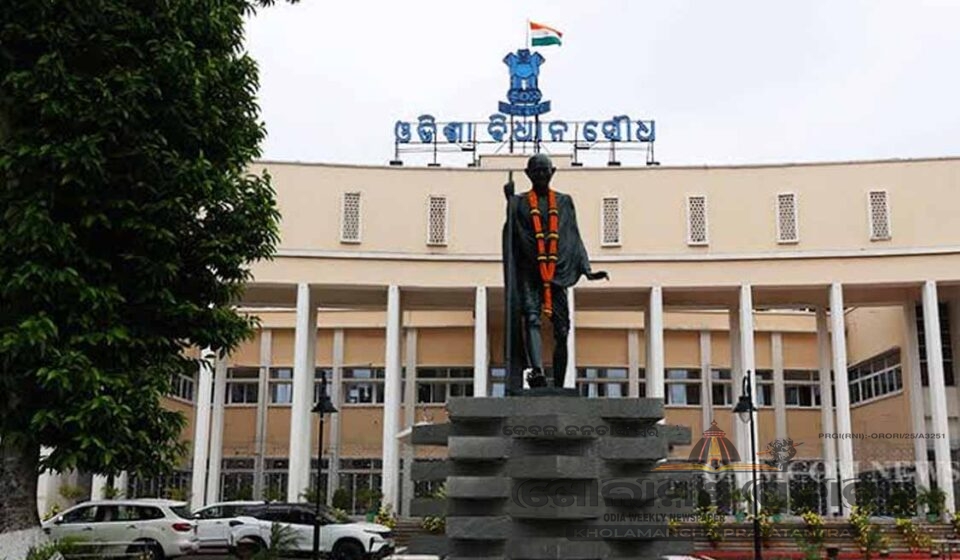 vidhansava